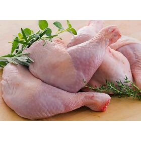 الدواجن الممتازة