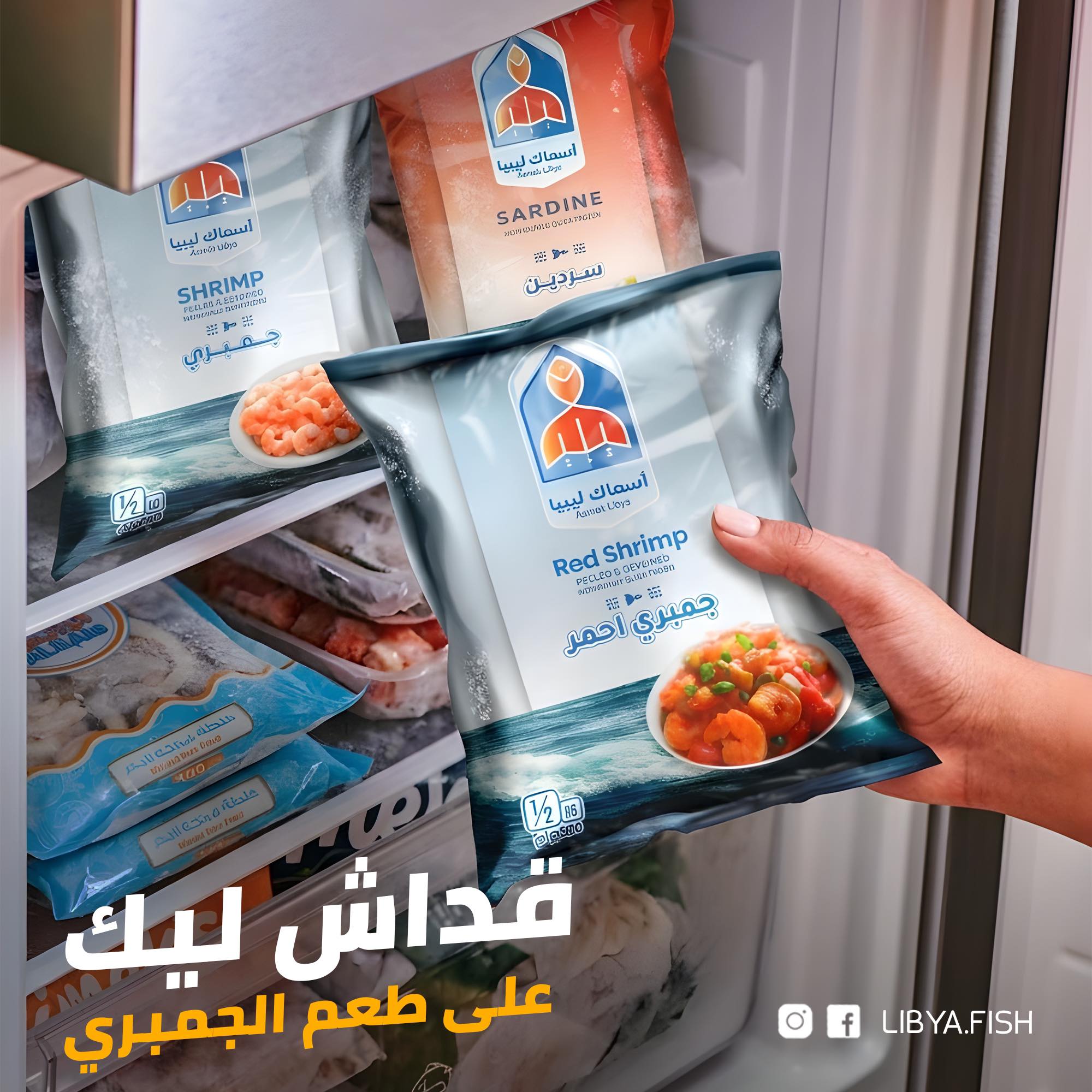 صورة الشركة 6